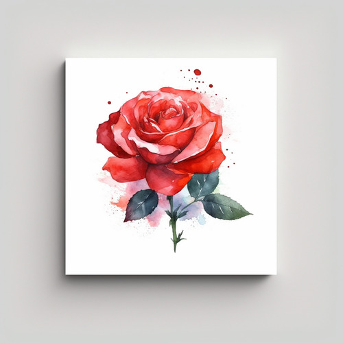 Cuadro Acuarela: Rosa Roja En Tela Bastidor 50x50cm Flores