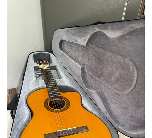 Guitarra Clasica Takamine Mod.g Series Eg124c C/estuche Duro