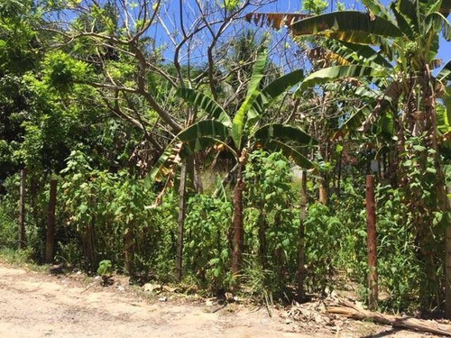 Imagem 1 de 2 de Terreno, 471 M² Por R$ 472.500,00 - Serra Grande - Niterói/rj - Te4899
