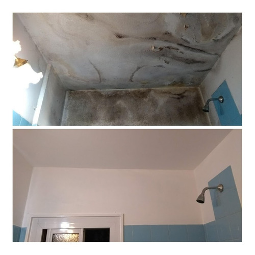 Imagen 4 de 10 de Pintor De Obra Y Plomero