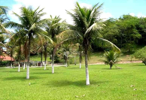 Imagem 7 de 17 de Terreno À Venda, 1001 M² Por R$ 290.000,00 - Piratininga - Niterói/rj - Te2694