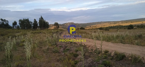 Imagen 5 de 12 de 5 Hectáreas, Entrega 8.000 Y El Saldo En Cuotas De 593 U$s