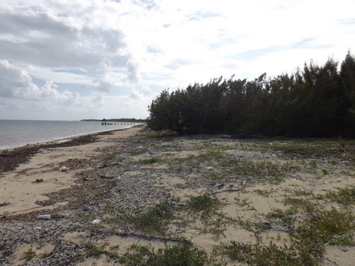 Imagen 20 de 30 de Terreno Con Playa, Bahia Petempich, Pto. Morelos, Quintana R