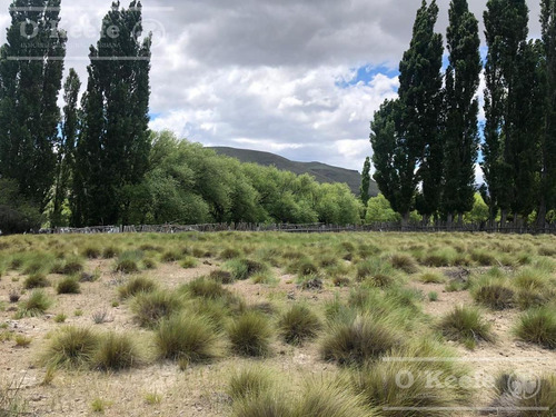 Imagen 13 de 30 de Campo En Venta En Rio Negro - Exclusivo Sobre El Rio Limay. Ideal Flyfishing!