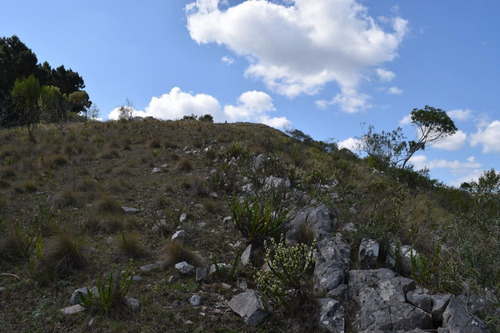 Imagen 5 de 25 de Venta Chacra Pueblo Eden Maldonado Ruta 60