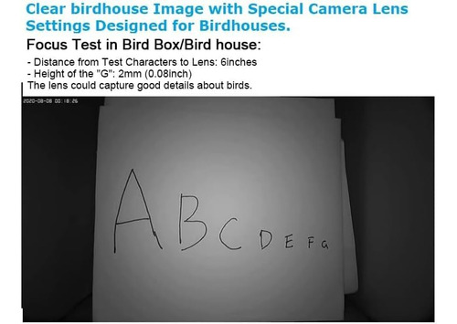 Cámara Wifi Wiwacam Bird Box 4k Hd Para Pajareras Color