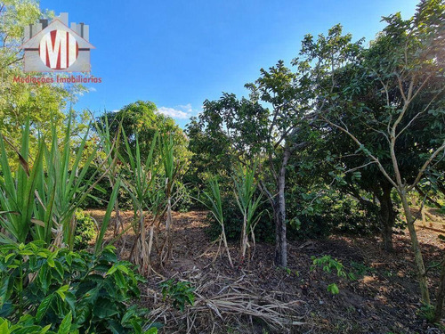 Imagem 18 de 30 de Ótima Chácara, Com 3 Dormitórios, Campinho De Futebol, Pomar, Horta, Bem Localizada, À Venda, 4400 M² Por R$ 360.000 - Rural - Socorro/sp - Ch0972