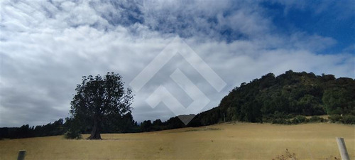 Parcela - 5.000 M2 Cada Una - Cascadas - Puerto Octay