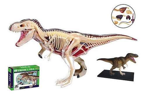 Modelo Anatómico De Dinosaurio T-rex- Fame Master 26