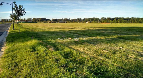 Lote Interno En Area 60