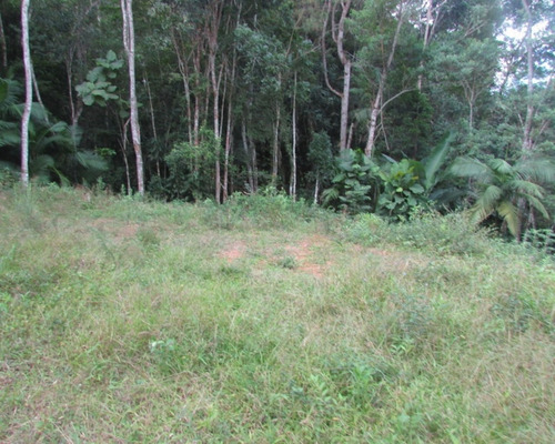 Imagem 9 de 21 de Terreno - 04611 - 33229241