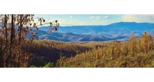 Imagen 5 de 7 de Vende Parcelas En Exclusivo Proyecto Pomerape, Limache. 5 Mi