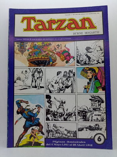 Tarzan Vol. 6 - Burne Hogarth  - Usado 