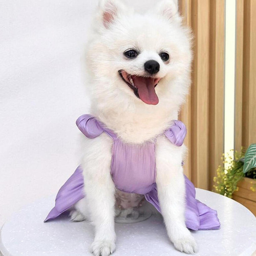 Od Vestido For Perro, Ropa For Cachorro, Trajes De Fiesta,