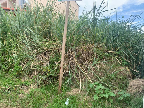 Terreno Para Venda Em Rio De Janeiro, Campo Grande - Del128_2-1161863