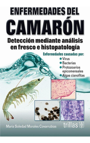 Libro Enfermedades Del Camaron (presentacion Rustica)