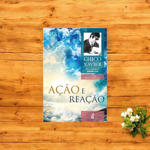 Ação E Reação - Chico Xavier - Coleção A Vida No Mundo Espiritual - Feb