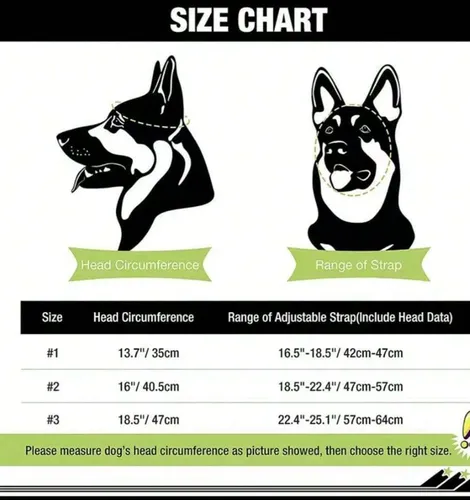 Casco Para Mascota Motorizada Perro