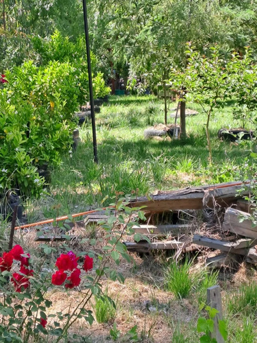 Venta De Parcela Con Casa Coltauco