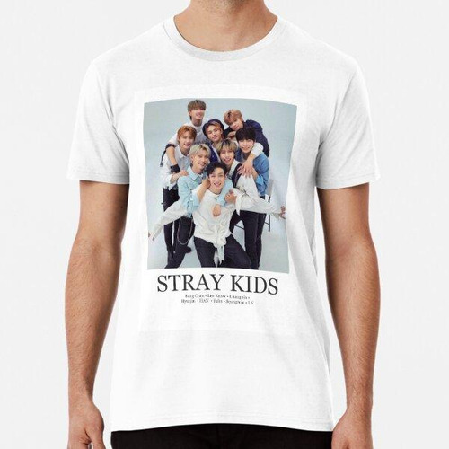 Remera Póster Minimalista De Stray Kids Algodon Premium