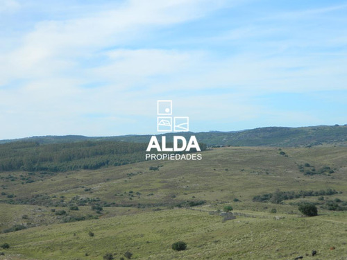 Chacra Pan De Azúcar Pan De Azúcar Venta Ch300005