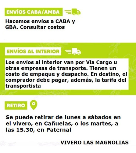 Árbol De Palta Hass Injertados - Cañuelas