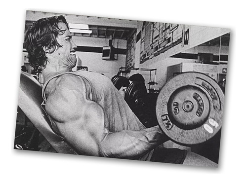 Poster Arnold Schwarzenegger Gimnasio Hd 48cmx33cm As07