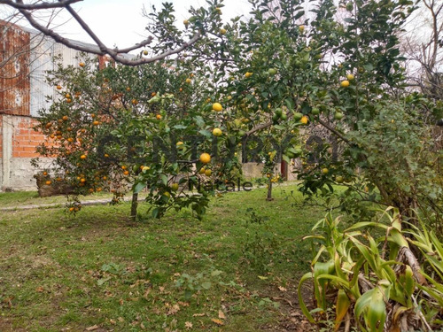 Imagen 8 de 14 de Lote En Venta. 524 E/ 134 Y 135. San Carlos, La Plata