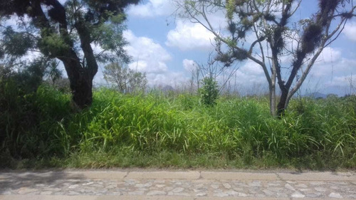 Imagen 3 de 8 de Se Vende Terreno En Sta. Gertrudis (fortin) ¡ideal Para Desarrolladores!