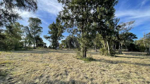 Parque Jousten - Manzana D Lote 3