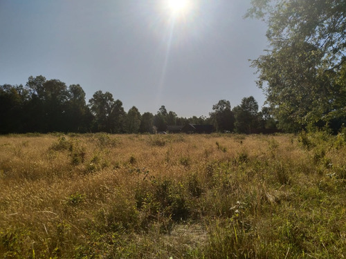 Parcela De 5000mtrs2, Sector Chucauco, Camino Vrca Freire