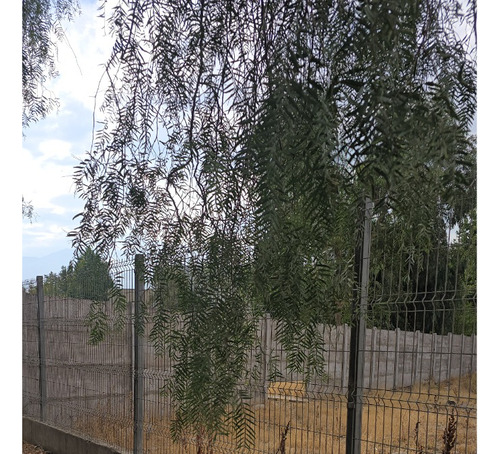 Terreno Para Todo Tipo De Construcción