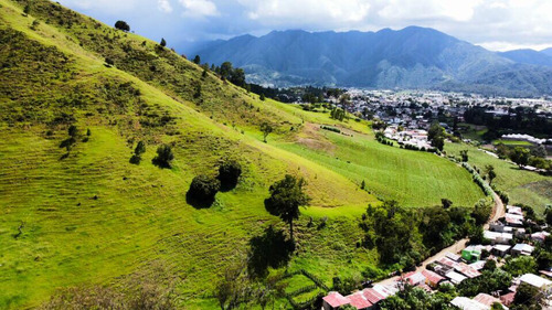 Hermoso Terreno En Constanza 650 Tareas, Agrícolas, Turistico