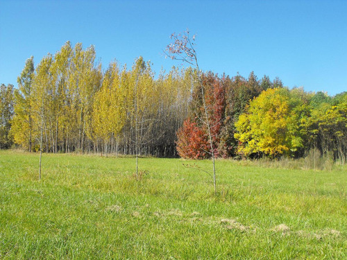 Terreno - Parada Robles