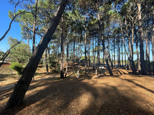 Guazuvirá Frente A La Playa, De La Principal A La Derecha Dos Cuadras