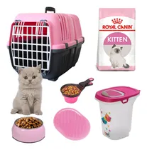 Comprar Kit Bienvenida Gato Gata Gatito Alimento Cepillo Comedero