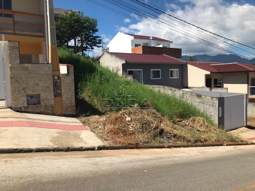 Imagem 2 de 3 de Terreno - Bela Vista - Ref: 33564 - V-33561