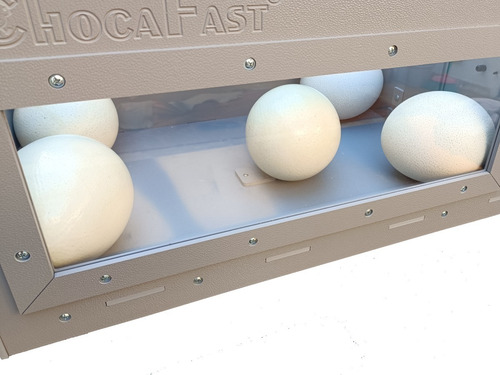 Chocadeira Automática Para 6 Ovos Avestruz Ema - Chocafast 220v