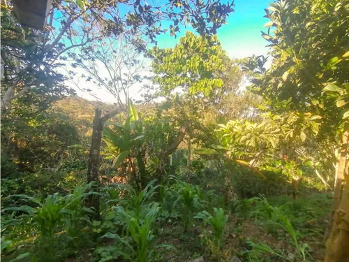 Finca En Yolombo Vereda Marquesa