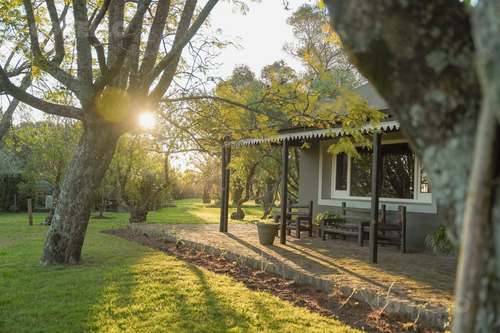 Estancia Con Casco Principal Campo Agrícola 200 Ha En Venta Carmelo Colonia Uruguay