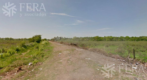 Imagen 3 de 8 de Venta De Terreno En Arturo Segui (29558)