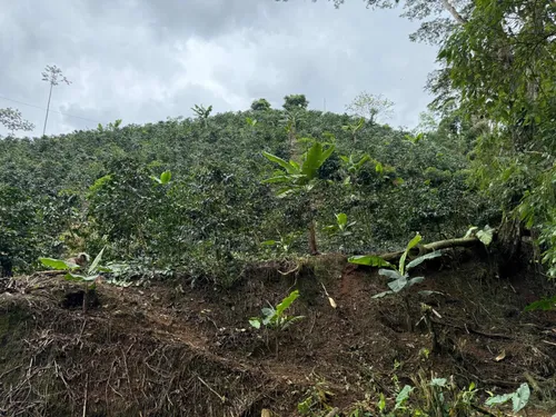 Hermosísima Finca Para Inversión
