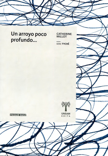 Un Arroyo Poco Profundo...