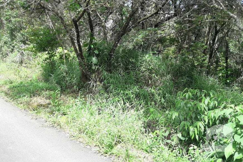 Imagem 1 de 4 de Lote À Venda No Arvoredo - Código 274031 - 274031