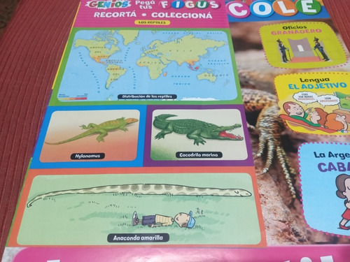 Suplemento Revista Genios Libro Para El Cole 24 Los Reptiles (Usado)