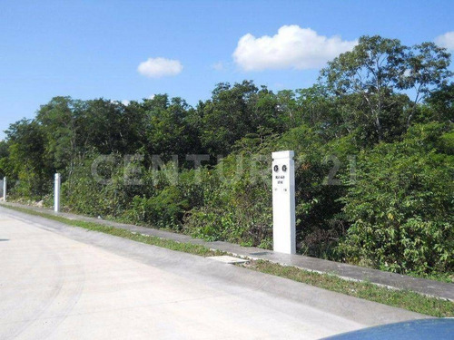 Imagen 7 de 11 de Terreno Residencial, Entrega Inmediata, El Encuentro Playa Del Carmen P2825