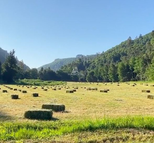 Imagen 27 de 29 de Agrícola 122 Ha. Con Rio Y Bosque Nativo En Venta Collipulli