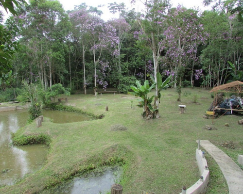 Chacara - 04536 - 33229180