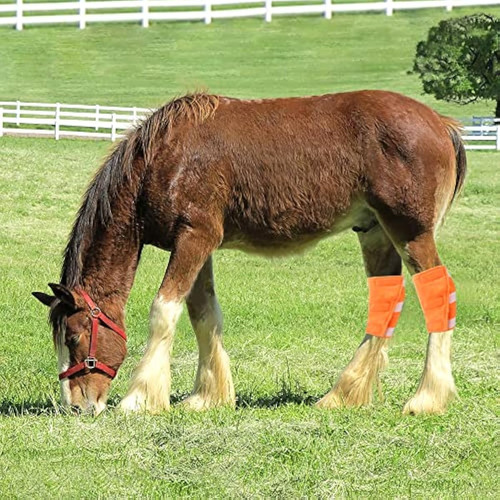 Vomvomp Protector De Escudo De Hockey Para Caballo