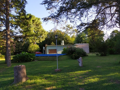 Imagen 3 de 14 de Vendo Excelente Quinta/casa De Campo En Junín.